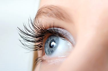 Contact Lenses Competitive with Online Pricing